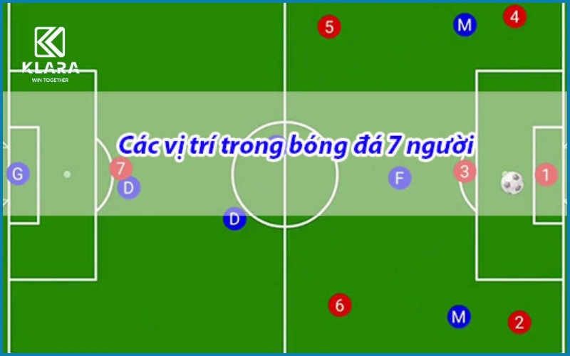 Mô tả các vị trí chủ chốt trên sân bóng đá 7 người