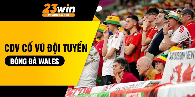 Người hâm mộ xứ Wales cuồng nhiệt cổ vũ đội tuyển bóng đá quốc gia Wales trên khán đài