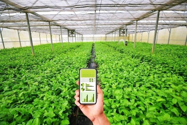 Người nông dân làm việc trên cánh đồng, hình ảnh về sự phát triển kinh tế địa phương