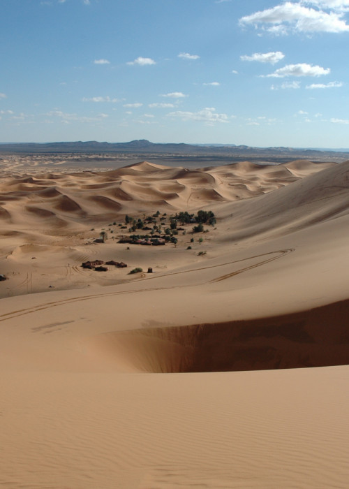 Ốc đảo xanh tươi tại Morocco, nguồn sống và biểu tượng cho sự kiên cường trong mọi lĩnh vực, kể cả bóng đá