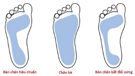 Phân loại các kiểu form chân như chân thon, tiêu chuẩn và chân bè để chọn bảng size giày bóng đá phù hợp