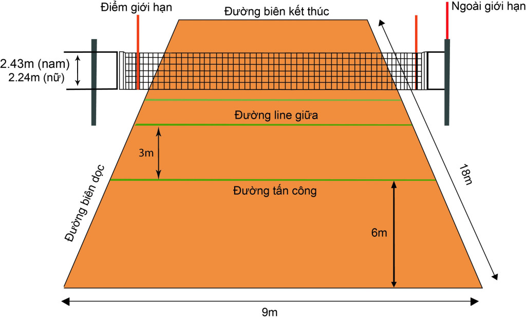 Sân bóng chuyền tiêu chuẩn với lưới bóng chuyền nam cao bao nhiêu được giăng đúng quy định, sẵn sàng cho trận đấu.