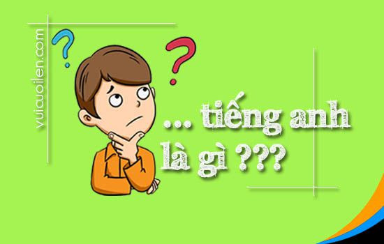Sân bóng đá tiếng Anh là gì và cấu tạo cơ bản của sân