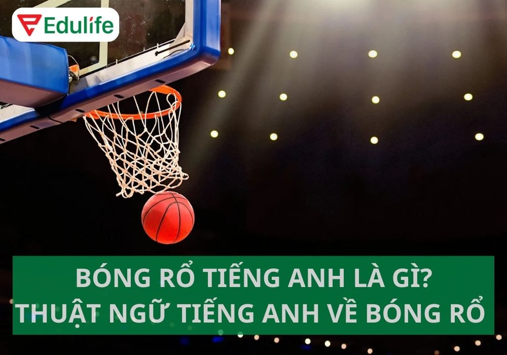 Sân bóng rổ chuyên nghiệp và vành rổ