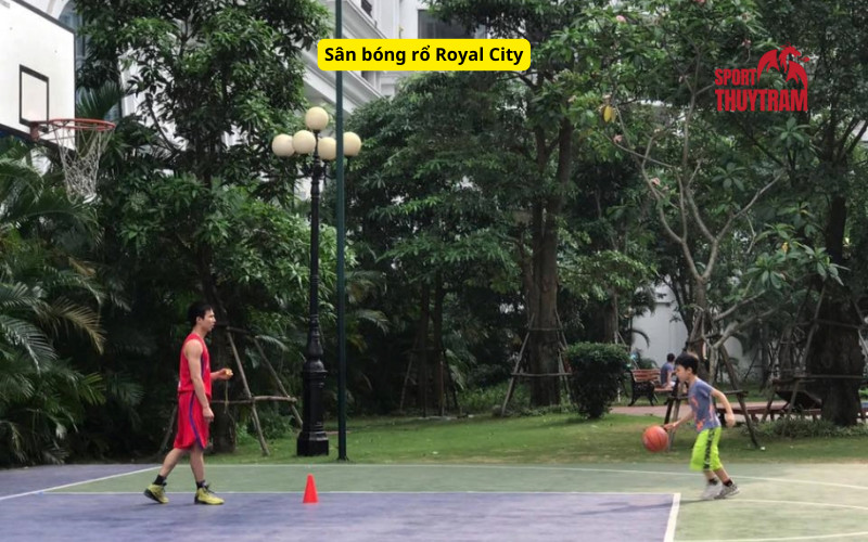 Sân bóng rổ hiện đại tại Royal City
