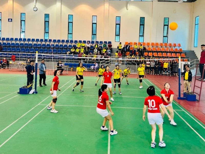 Thi đấu bóng chuyền hơi nữ cần bóng đúng kích thước