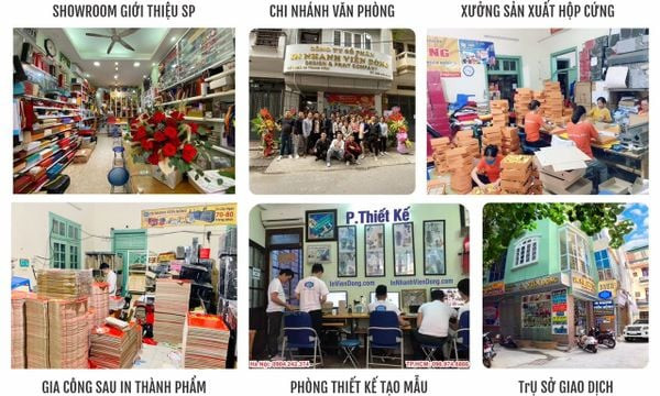 Tổng hợp lịch thi đấu bóng đá Euro và World Cup 2022