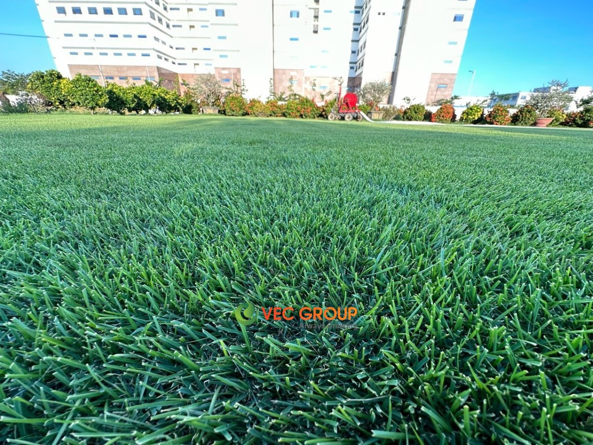 Tổng quan mặt sân và lưới chắn bóng tại sân bóng đá mini Phúc Yên
