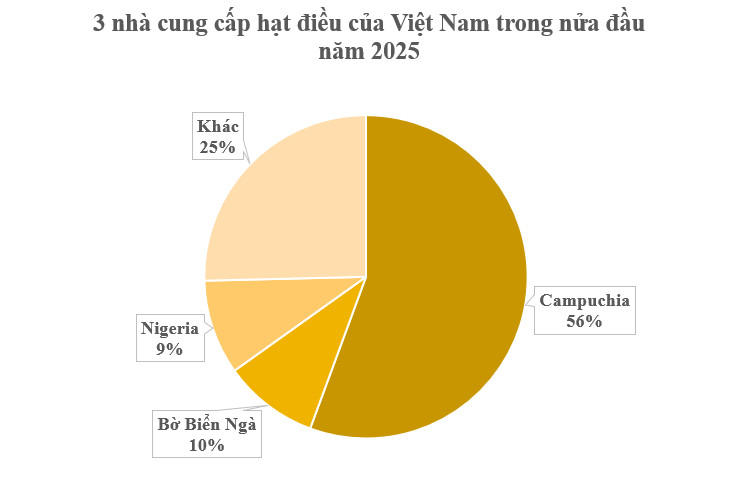 Tổng quan thị trường hạt điều toàn cầu