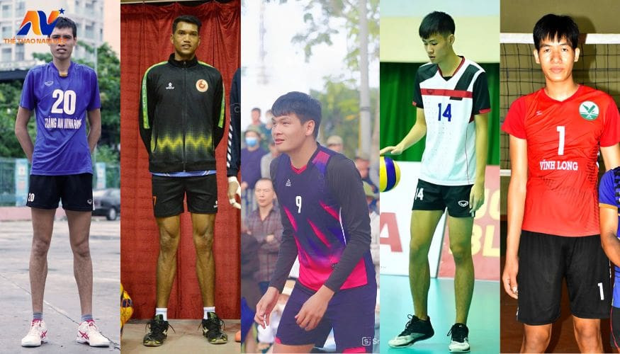 Top 5 cầu thủ bóng chuyền nam cao nhất Việt Nam được xác nhận
