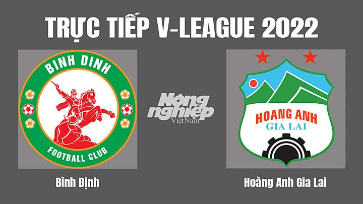 Trực tiếp bóng đá V-League giữa Bình Định vs HAGL hôm nay