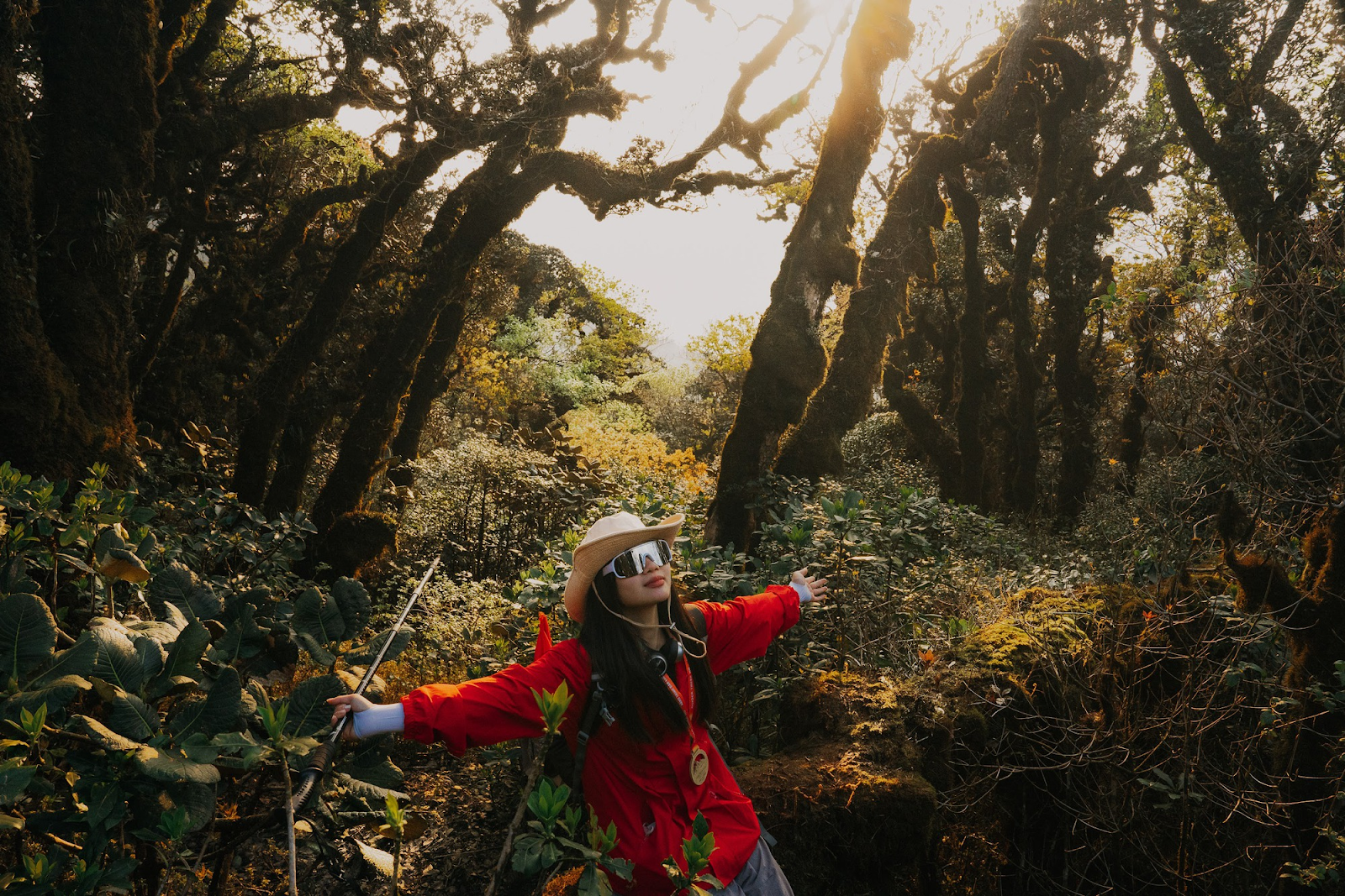 Cung đường trekking qua khu rừng rêu cổ thụ tại Phu Sa Phìn