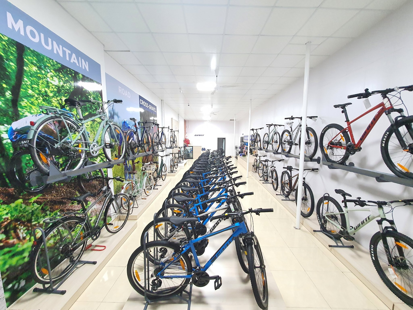 Xe đạp Giant International là một cửa hàng xe đạp TP.HCM uy tín