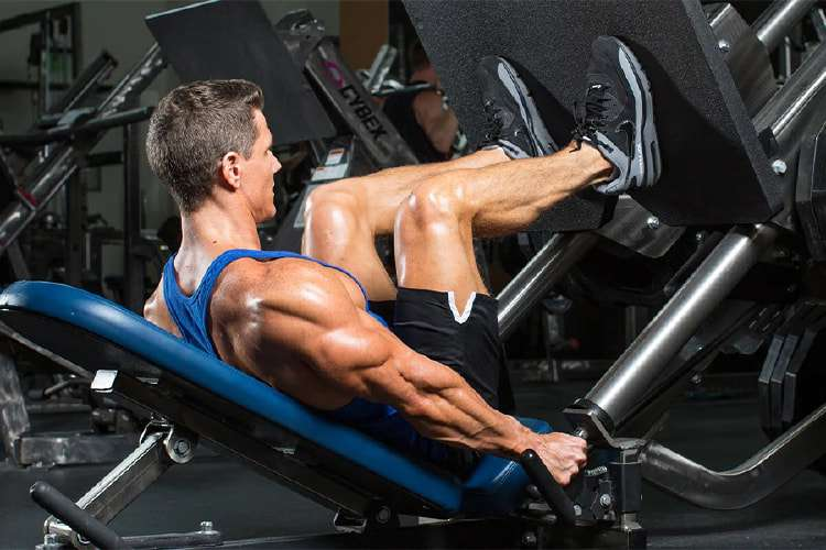 Bài tập Leg Press hiệu quả cho cơ đùi trước, đùi sau và cơ mông tại phòng gym