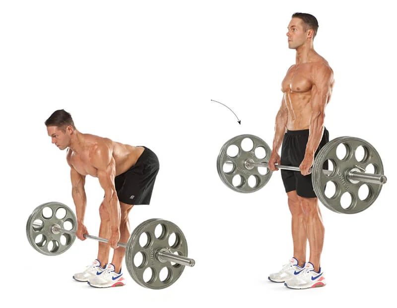 Hướng dẫn Deadlift với tạ đòn, phát triển sức mạnh đùi sau và cơ mông