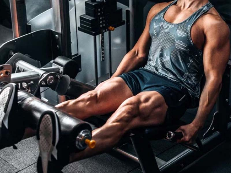Leg Extension tập trung phát triển cơ đùi trước với máy