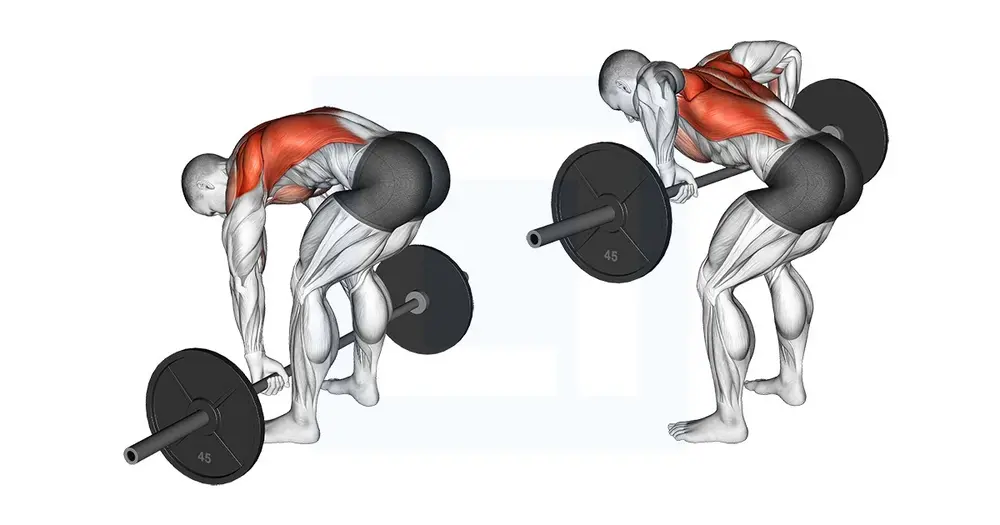 Bài tập lưng xô nâng cao Pendlay Row