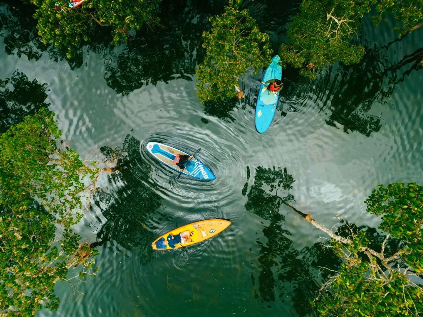 Chèo SUP trên hồ Tuyền Lâm