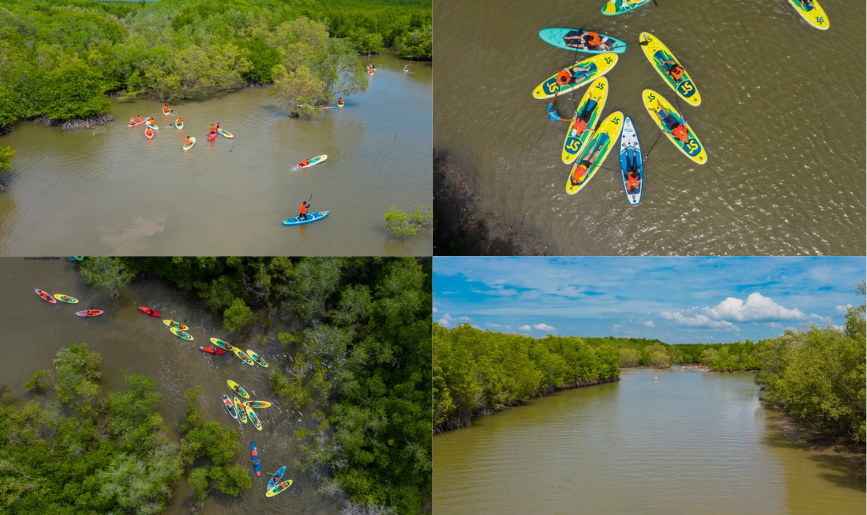 Du khách chèo SUP xuyên rừng ngập mặn Cần Giờ trong tour của BenThanh Tourist