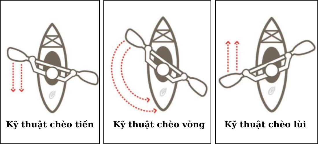 Minh họa các kỹ thuật chèo Kayak cơ bản như chèo tiến, chèo lùi và chèo vòng