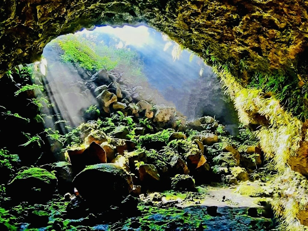 Núi lửa Chư Blưk với thảm thực vật đa dạng và độc đáo